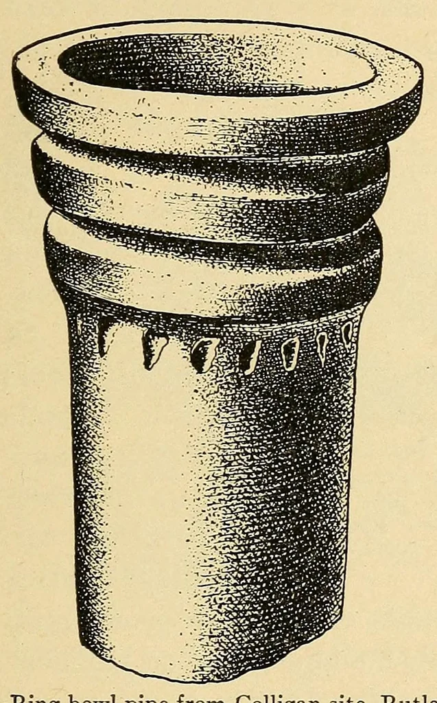 An illustration from Notes on Iroquois archeology, 1921, leaf 229