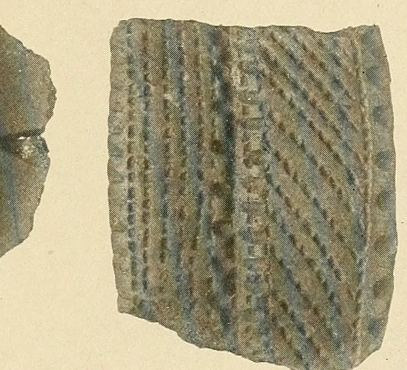 An illustration from Notes on Iroquois archeology, 1921, leaf 233