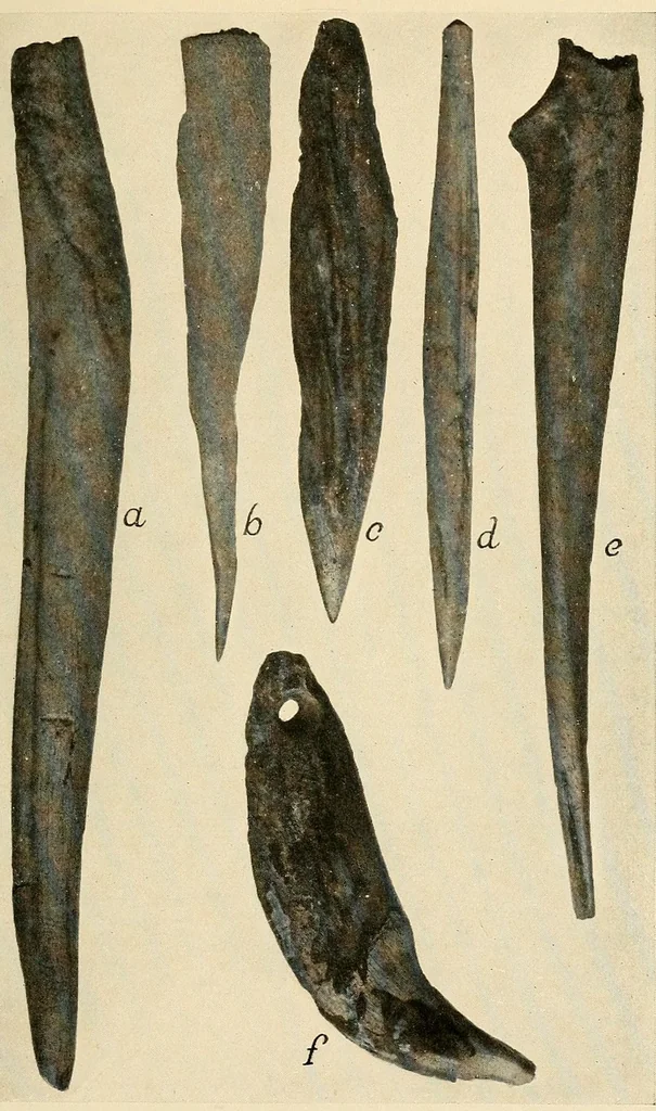 An illustration from Notes on Iroquois archeology, 1921, leaf 81