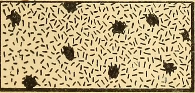 An illustration from Notes on mechanical drawing;, 1912, leaf 24