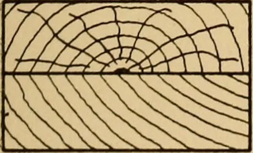An illustration from Notes on mechanical drawing, graphic statics, machine design, and kinematics, 1909, leaf 124