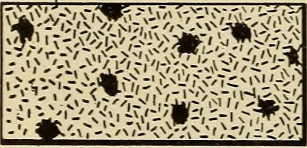 An illustration from Notes on mechanical drawing, 1916, leaf 29
