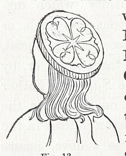 An illustration from Notes on the nimbus, 1854, leaf 22
