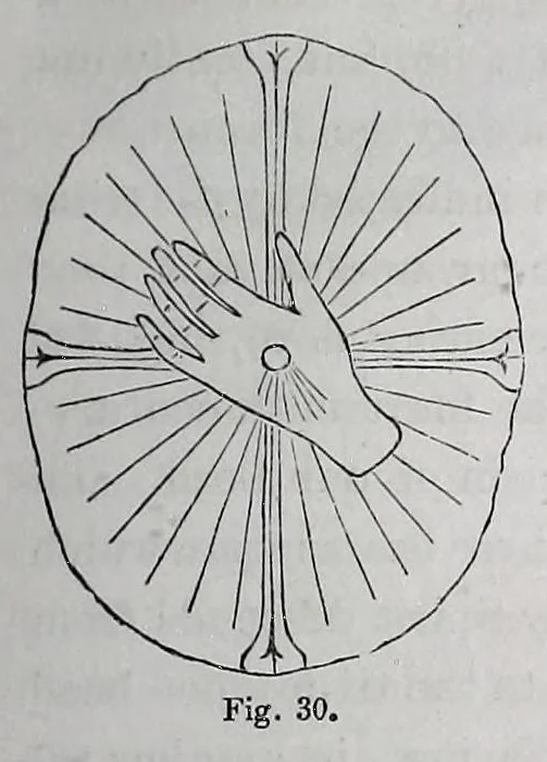 An illustration from Notes on the nimbus, 1854, leaf 27