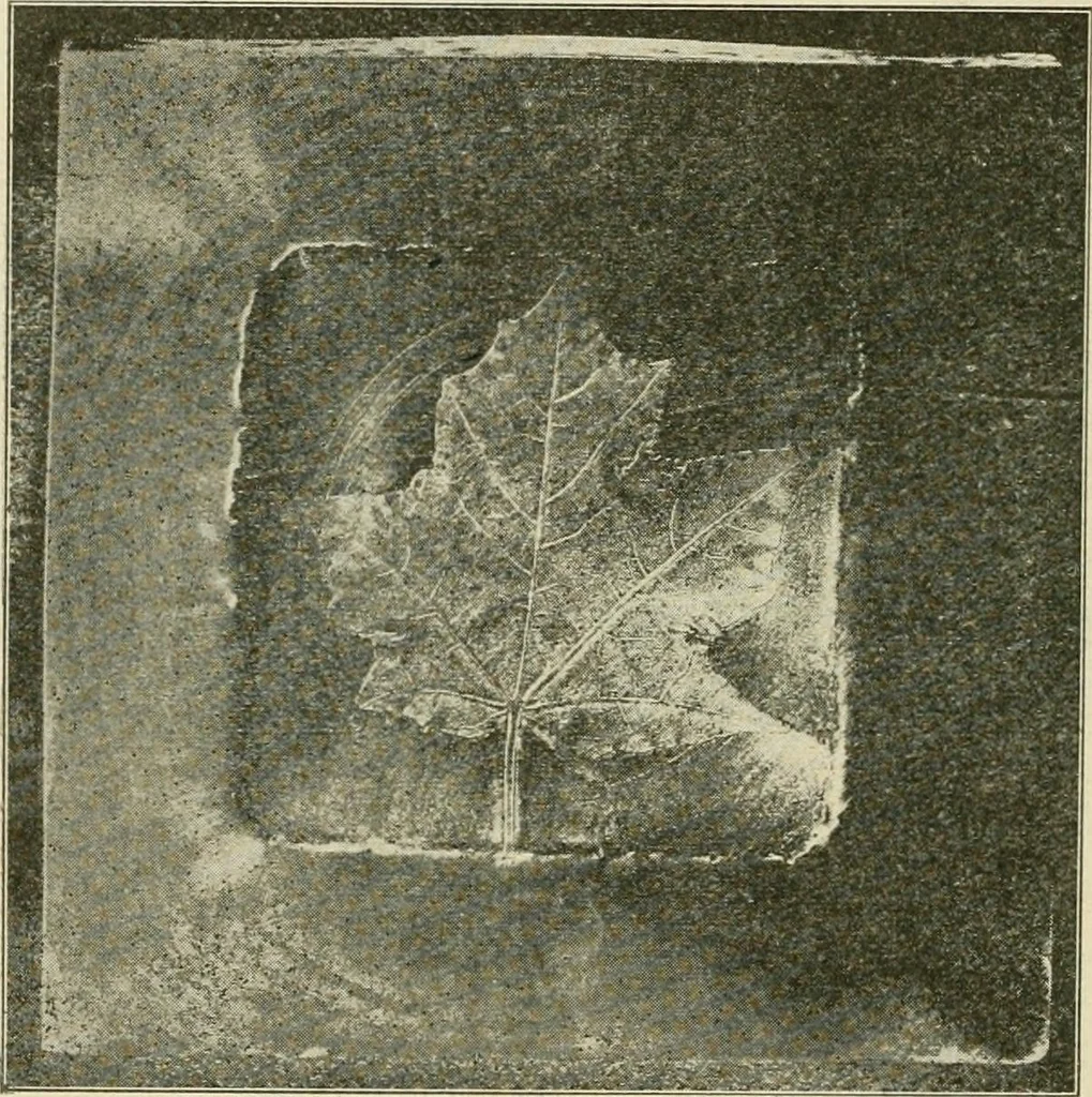 An illustration from Notes on physics, 1914, leaf 109