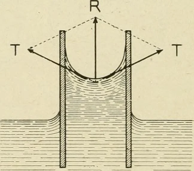 An illustration from Notes on physics, 1914, leaf 225