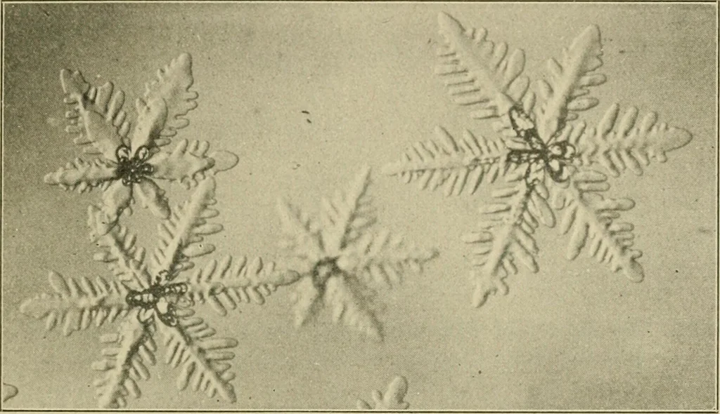 An illustration from Notes on physics, 1914, leaf 276