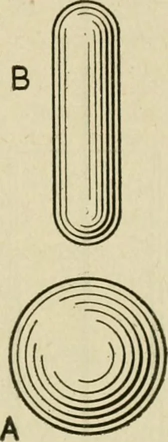 An illustration from Notes on physics, 1914, leaf 394
