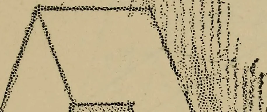 An illustration from Notes on practical mechanical drawing, written for the use of the students in general engineering drawing in the University of Illinois, 1907, leaf 20