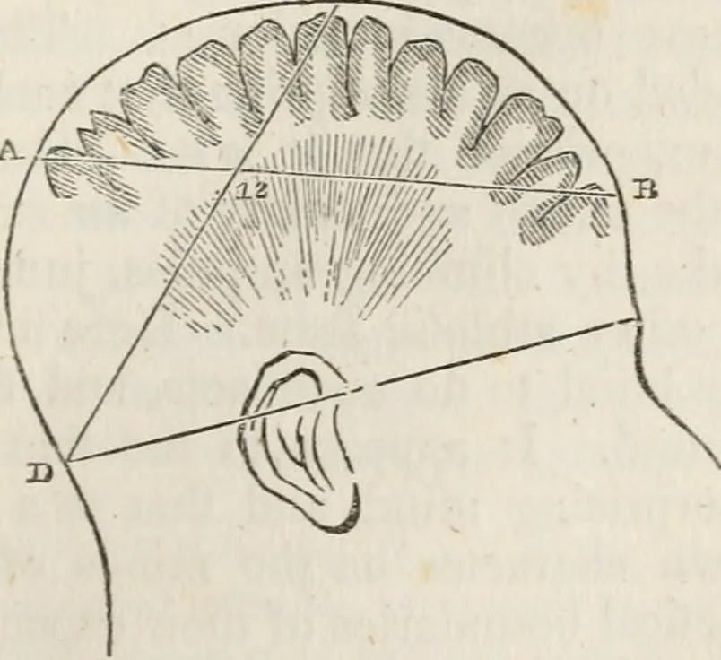 An illustration from Notes on the United States of North America, during a phrenological visit in 1838-9-40, 1841, leaf 248
