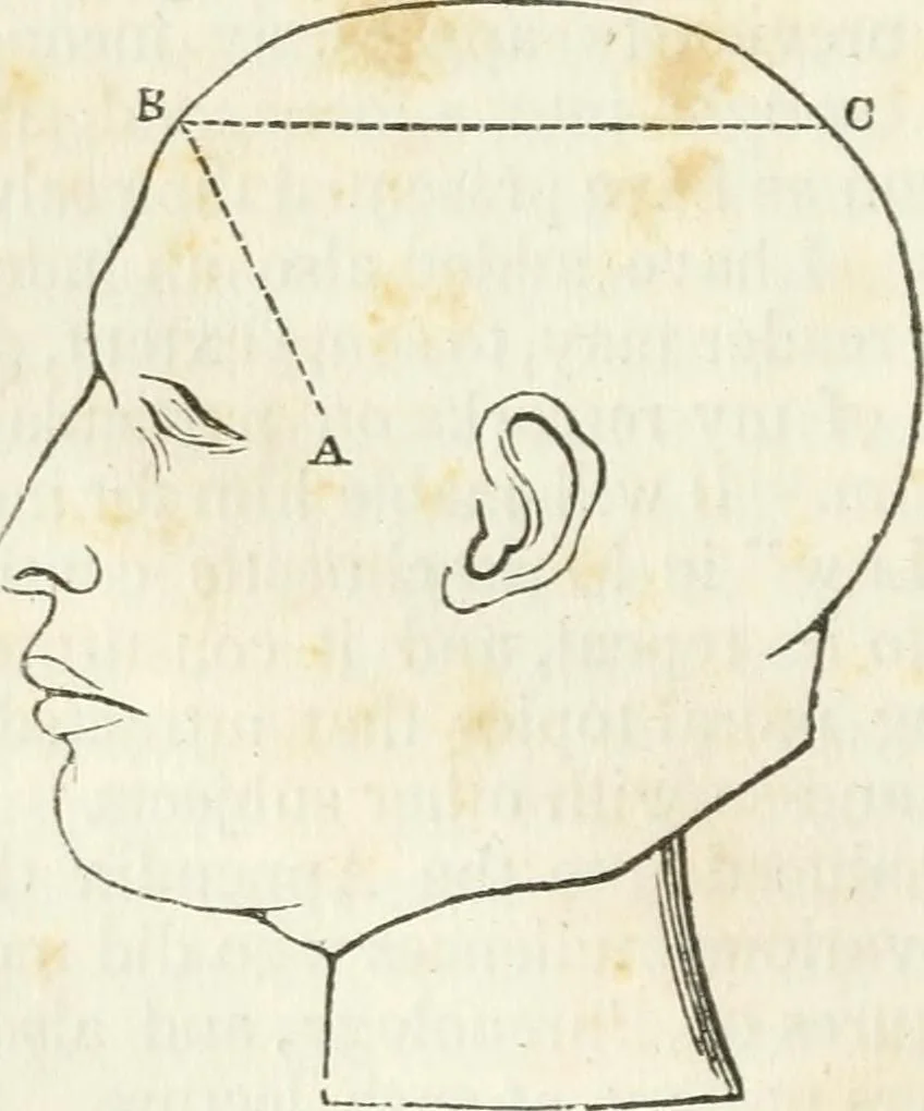 An illustration from Notes on the United States of North America, during a phrenological visit in 1838-9-40, 1841, leaf 25
