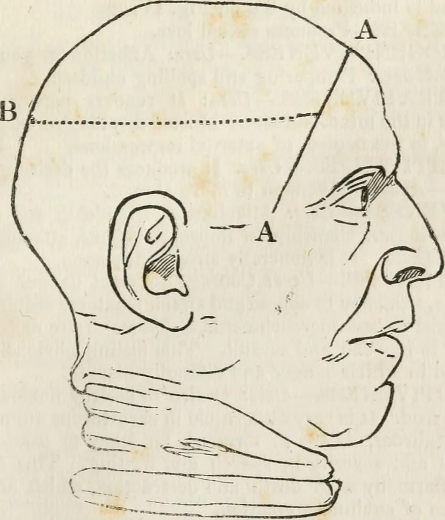 An illustration from Notes on the United States of North America, during a phrenological visit in 1838-9-40, 1841, leaf 26