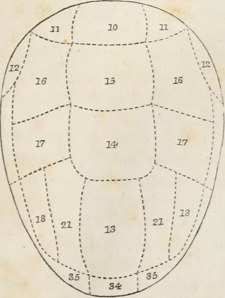 An illustration from Notes on the United States of North America, during a phrenological visit in 1838-9-40, 1841, leaf 30