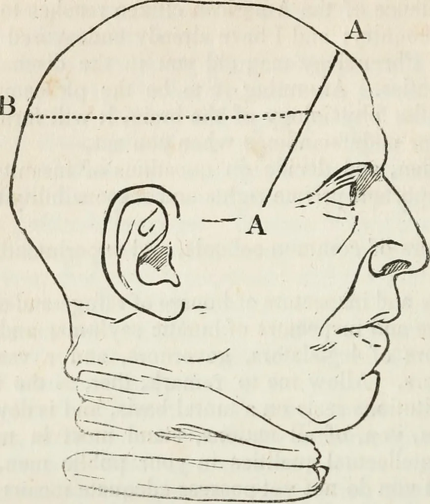 An illustration from Notes on the United States of North America, during a phrenological visit in 1838-9-40, 1841, leaf 353