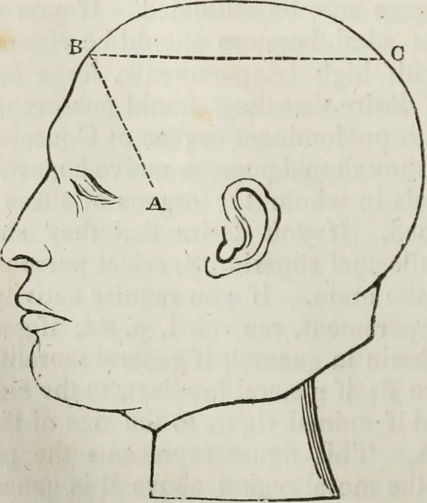 An illustration from Notes on the United States of North America, during a phrenological visit in 1838-9-40, 1841, leaf 353