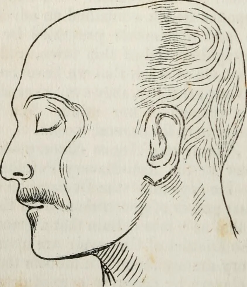 An illustration from Notes on the United States of North America, during a phrenological visit in 1838-9-40, 1841, leaf 97