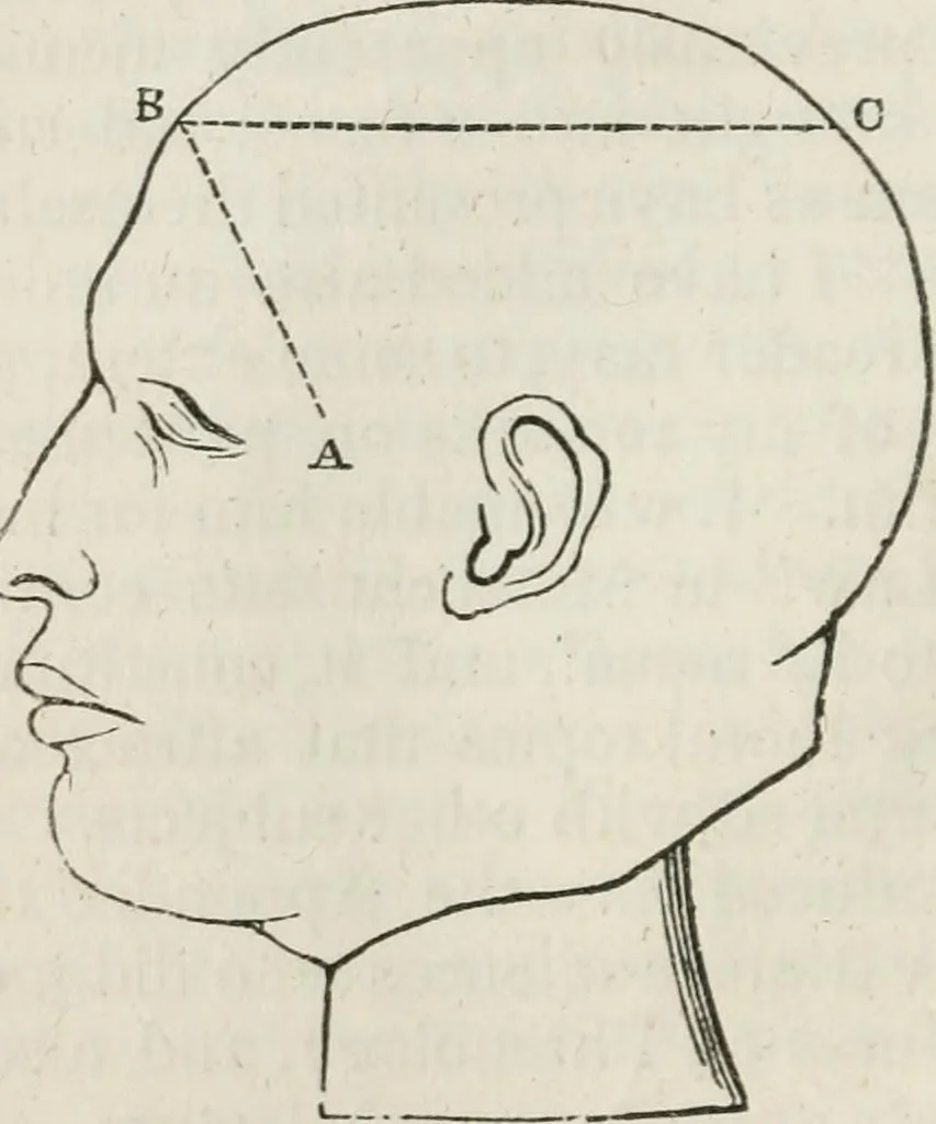 An illustration from Notes on the United States of North America, during a phrenological visit in 1838-9-40, 1841, leaf 23