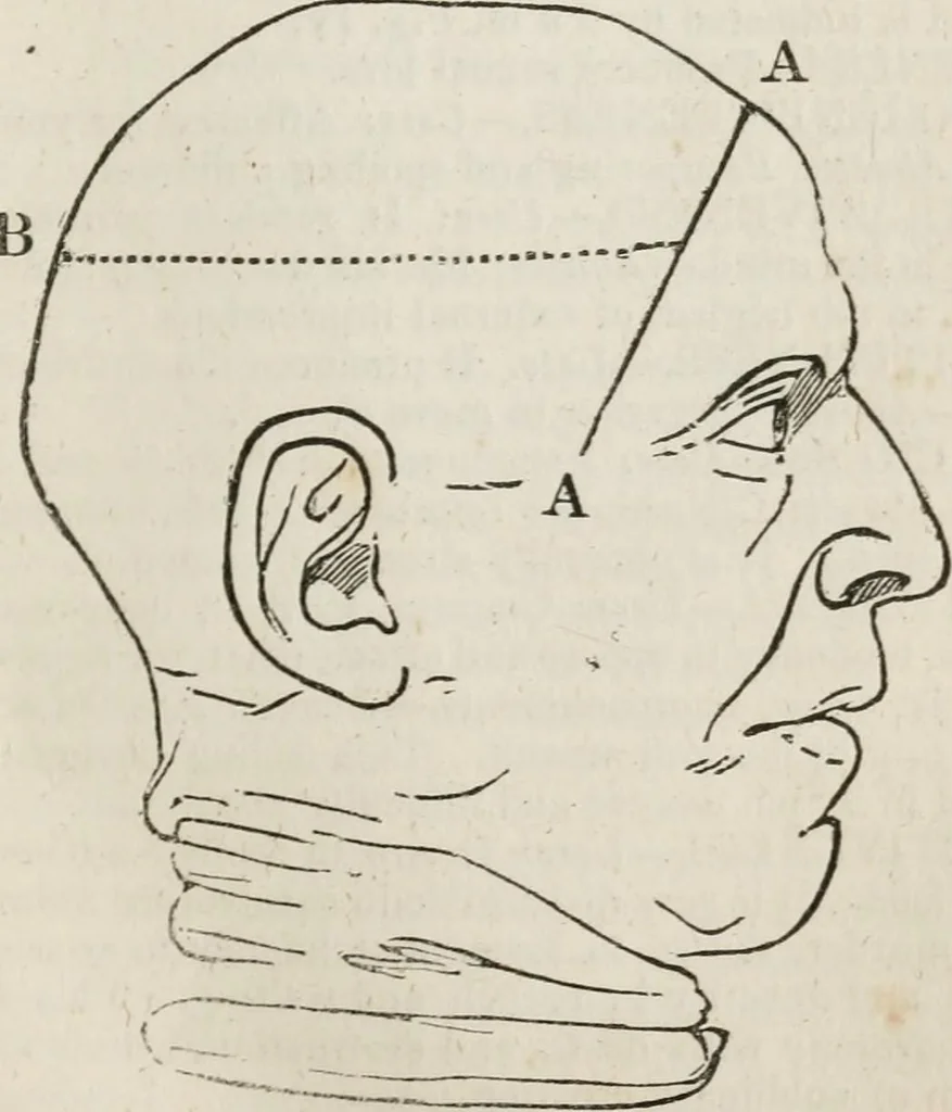 An illustration from Notes on the United States of North America, during a phrenological visit in 1838-9-40, 1841, leaf 24