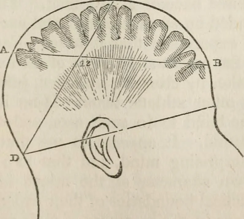 An illustration from Notes on the United States of North America, during a phrenological visit in 1838-9-40, 1841, leaf 246