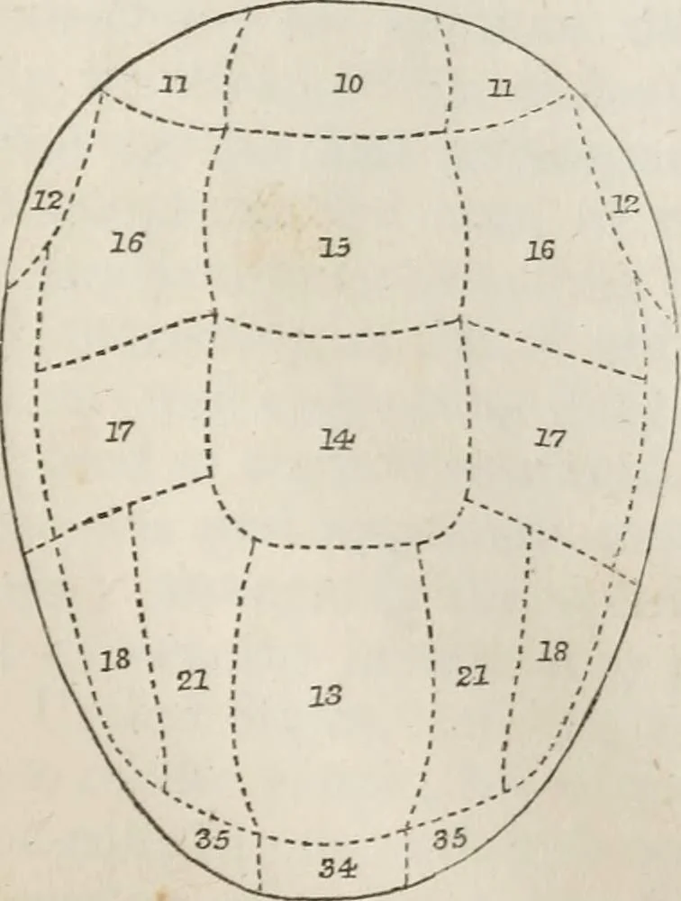 An illustration from Notes on the United States of North America, during a phrenological visit in 1838-9-40, 1841, leaf 28