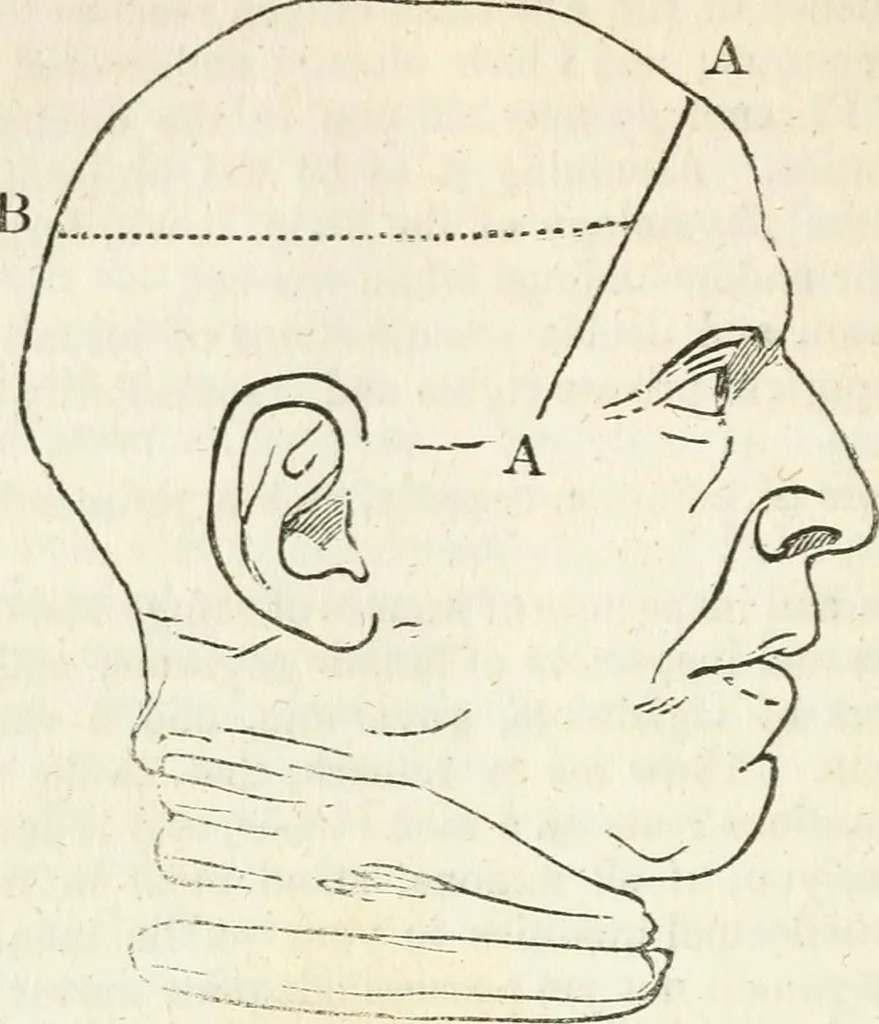 An illustration from Notes on the United States of North America, during a phrenological visit in 1838-9-40, 1841, leaf 351