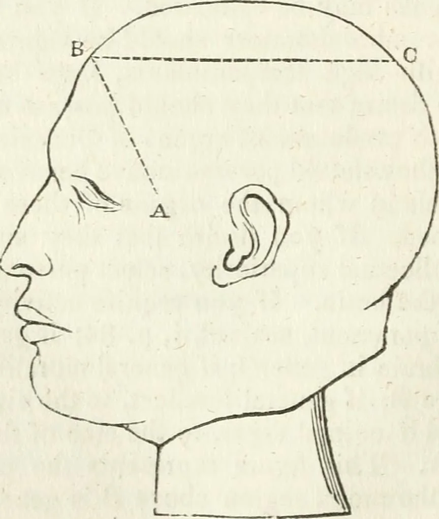 An illustration from Notes on the United States of North America, during a phrenological visit in 1838-9-40, 1841, leaf 351