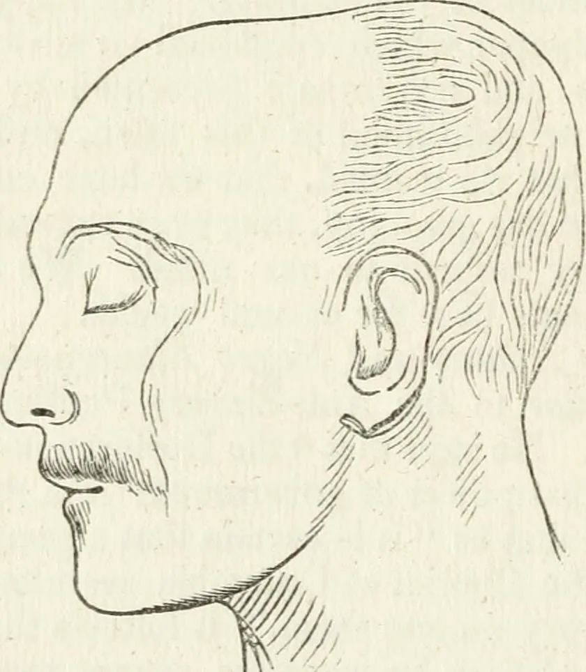 An illustration from Notes on the United States of North America, during a phrenological visit in 1838-9-40, 1841, leaf 95