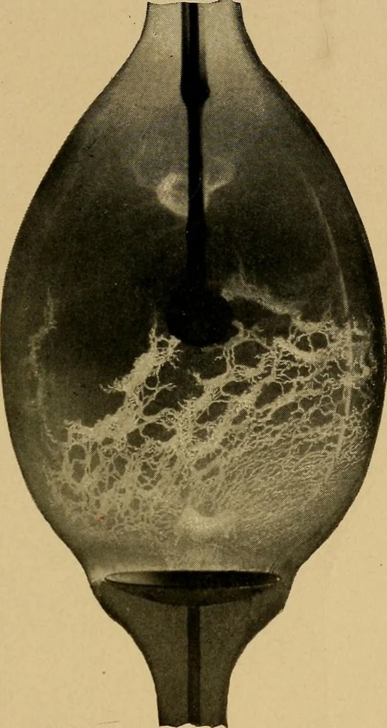 An illustration from Notes on X-light, 1903, leaf 484