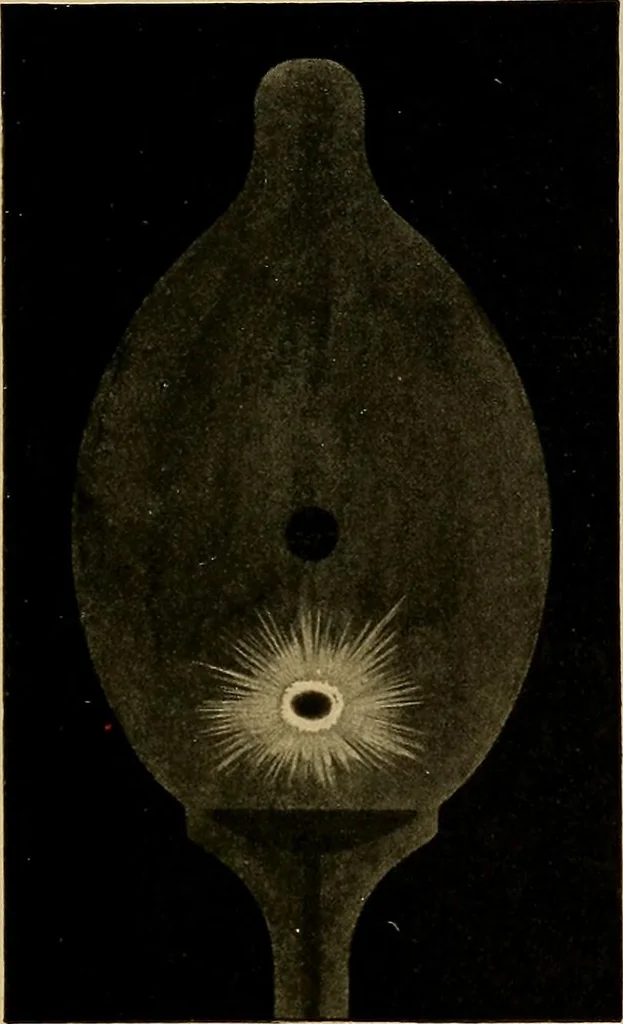 An illustration from Notes on X-light, 1903, leaf 498