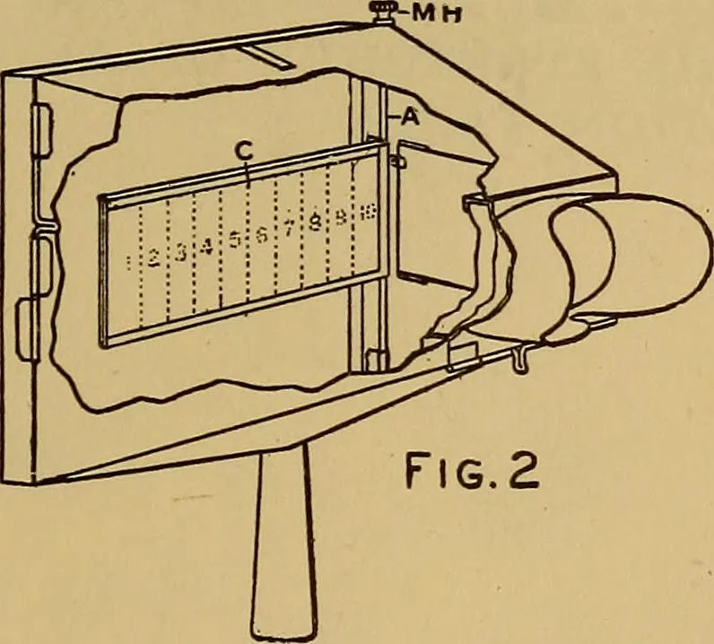 An illustration from Notes on X-light, 1903, leaf 660
