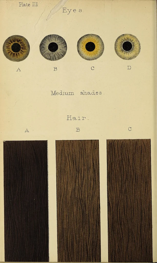 An illustration from Notes and queries on anthropology, 1899, leaf 40