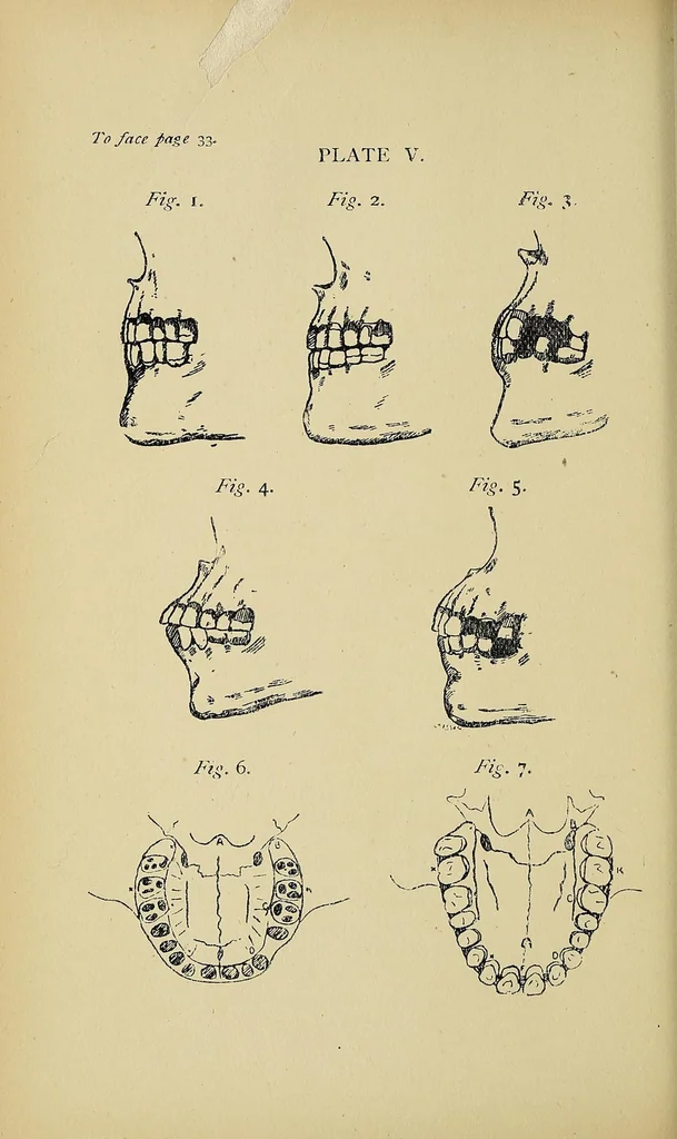 An illustration from Notes and queries on anthropology, 1899, leaf 62