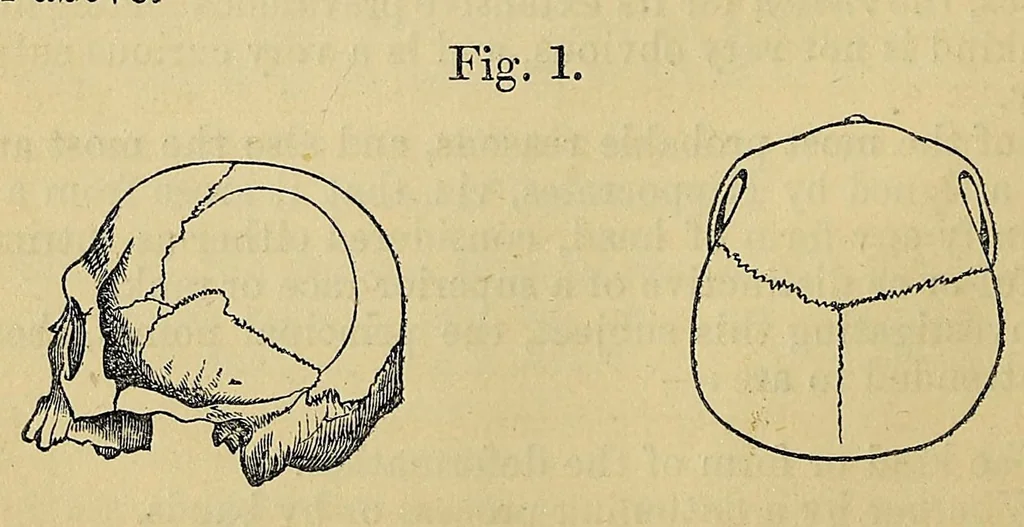 An illustration from Notes and queries on anthropology, for the use of travellers and residents in uncivilized lands, 1874, leaf 134