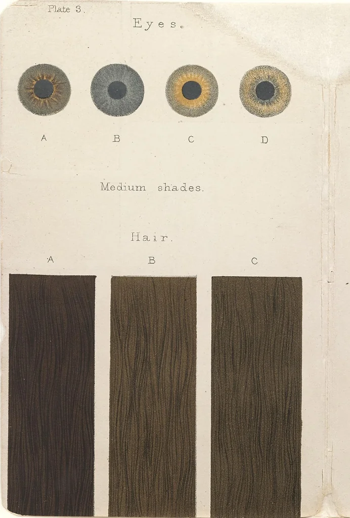 An illustration from Notes and queries on anthropology, 1892, leaf 277