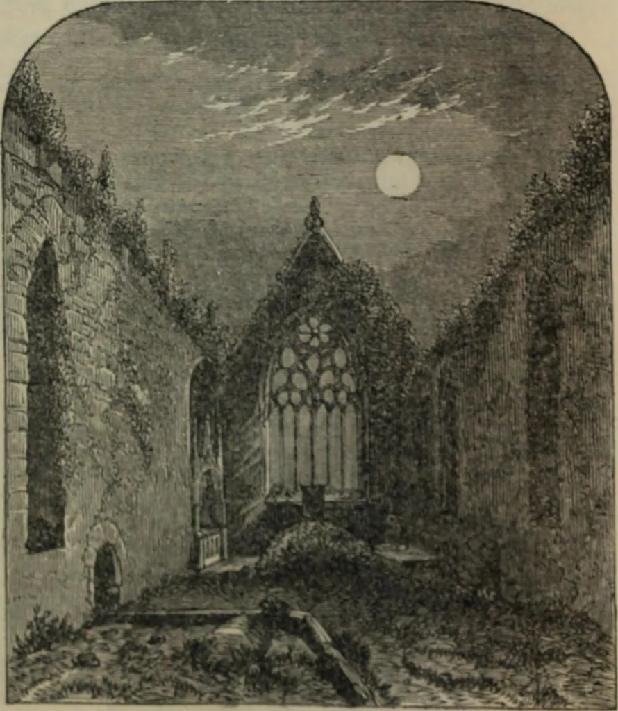 An illustration from Notes and records of the ancient religious foundations, at Youghal Co. Cork, and its vicinity, 1854, leaf 41