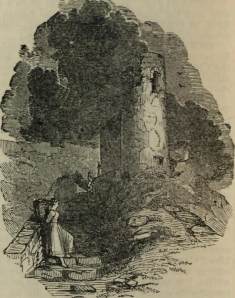 An illustration from Notes and records of the ancient religious foundations, at Youghal Co. Cork, and its vicinity, 1854, leaf 49