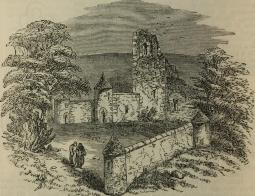 An illustration from Notes and records of the ancient religious foundations, at Youghal Co. Cork, and its vicinity, 1854, leaf 51