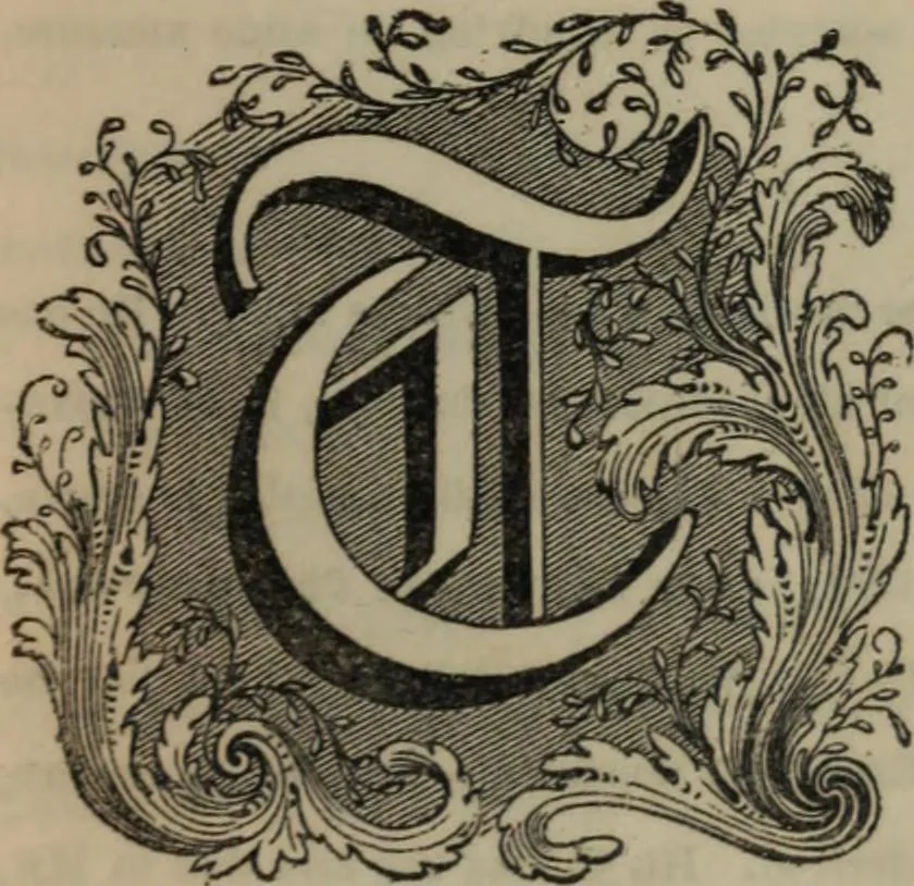 An illustration from Notes and records of the ancient religious foundations, at Youghal Co. Cork, and its vicinity, 1854, leaf 8