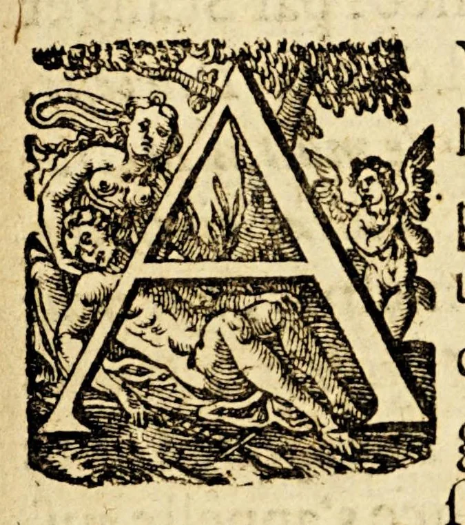 An illustration from Notice des dioceses de l'eglise vniverselle. : Auec vn sommaire de tous les conciles tant generaux que prouinciaux, rapportez à leurs prouinces & dioceses. Plus vne entiere & particuliere notice des benefices de la France estans à la nomination ou collation du Roy: auec les taxes de Rome., 1625, leaf 21