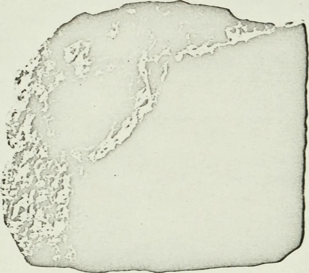 An illustration from Notice sur quelques monuments assyriens à l'Université de Zurich, 1912, leaf 29