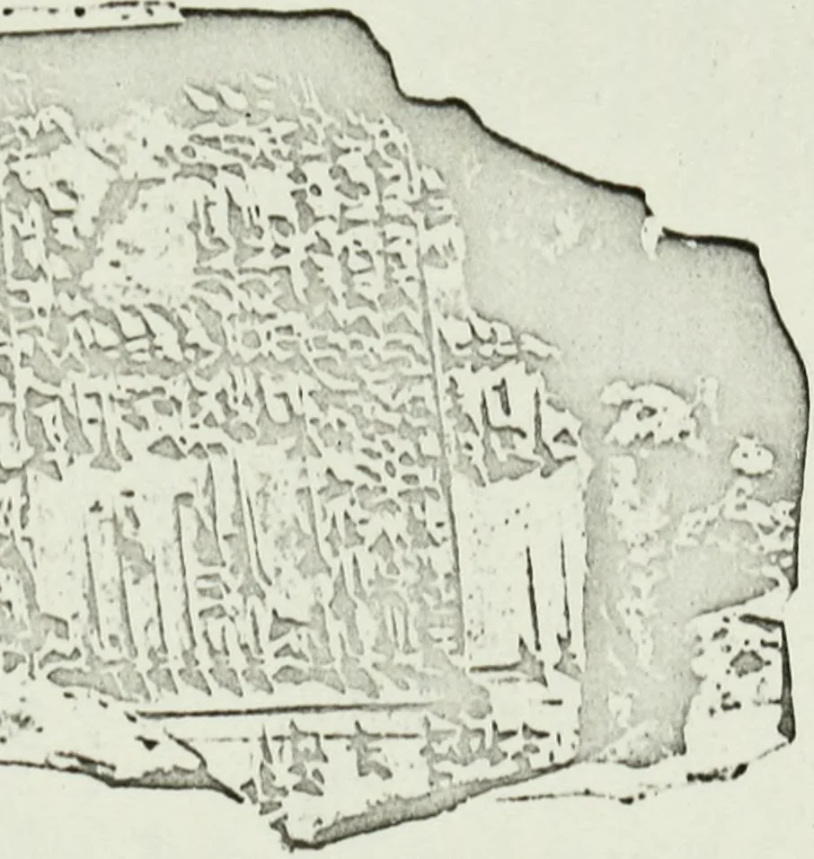 An illustration from Notice sur quelques monuments assyriens à l'Université de Zurich, 1912, leaf 49