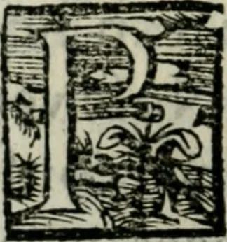 An illustration from Noticia general para la estimacion de las artes : y de la manera en qve se conocen las liberales de las que son mecanicas y seruiles : con vna exortacion a la honra de la virtud y del trabajo contra los ociosos, y otras particulares para las personas de todos estados, 1600, leaf 179