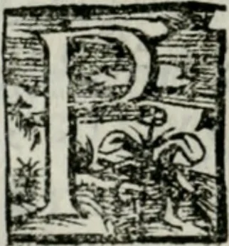 An illustration from Noticia general para la estimacion de las artes : y de la manera en qve se conocen las liberales de las que son mecanicas y seruiles : con vna exortacion a la honra de la virtud y del trabajo contra los ociosos, y otras particulares para las personas de todos estados, 1600, leaf 225