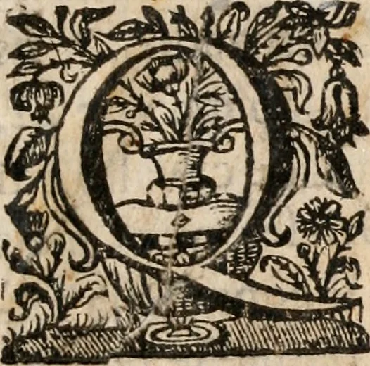 An illustration from Noticias de Portugal, offerecidas a el rey N.S. Dom Ioao o IV, 1655, leaf 16