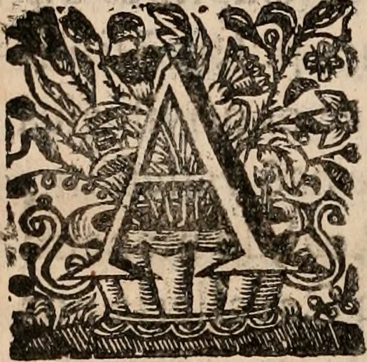 An illustration from Noticias de Portugal, offerecidas a el rey N.S. Dom Ioao o IV, 1655, leaf 165