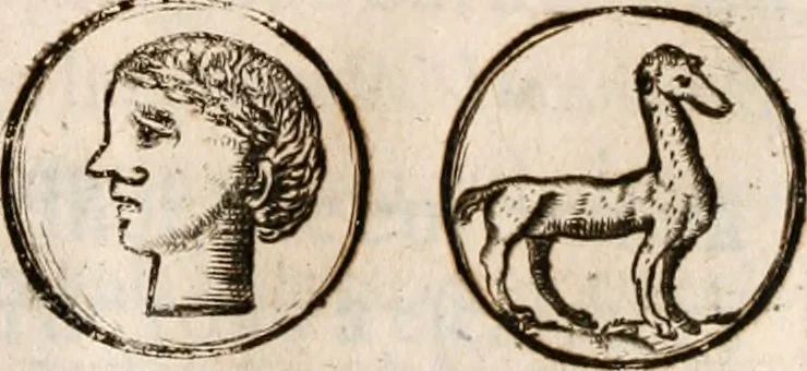 An illustration from Noticias de Portugal, offerecidas a el rey N.S. Dom Ioao o IV, 1655, leaf 166