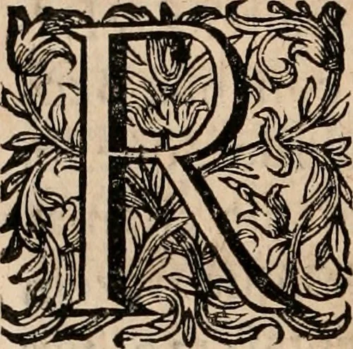An illustration from Noticias de Portugal, offerecidas a el rey N.S. Dom Ioao o IV, 1655, leaf 217