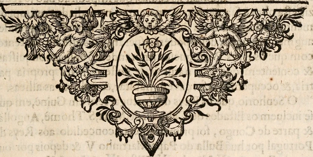An illustration from Noticias de Portugal, offerecidas a el rey N.S. Dom Ioao o IV, 1655, leaf 238
