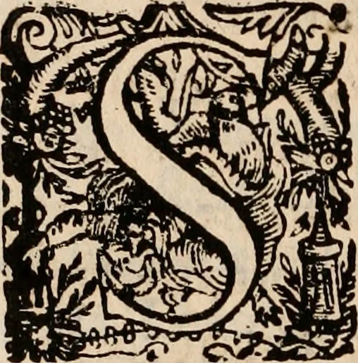 An illustration from Noticias de Portugal, offerecidas a el rey N.S. Dom Ioao o IV, 1655, leaf 239