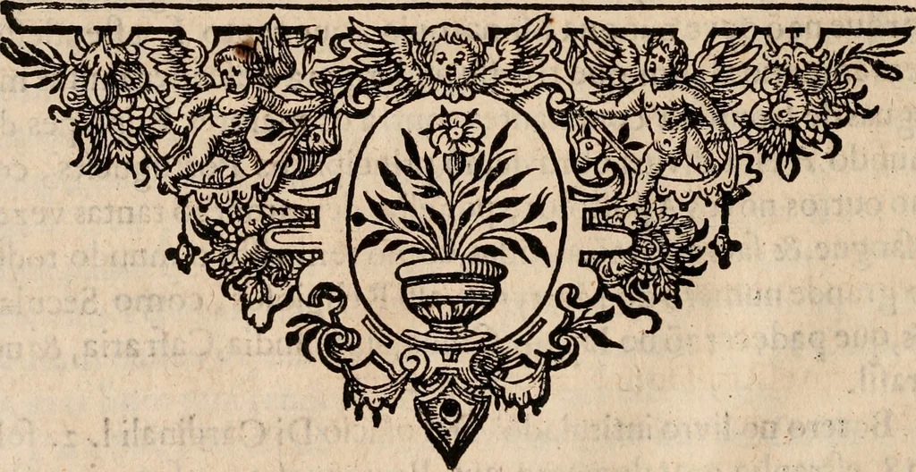 An illustration from Noticias de Portugal, offerecidas a el rey N.S. Dom Ioao o IV, 1655, leaf 255